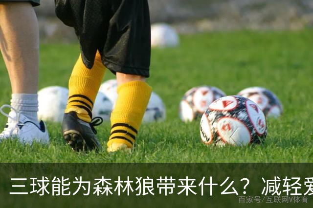 三球能为森林狼带来什么？减轻爱德华兹单打负担 麦丹能惩罚对手