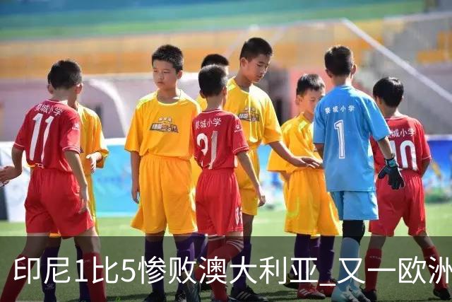 印尼1比5惨败澳大利亚 又一欧洲球星教练迷失亚洲？