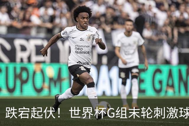 跌宕起伏！世界杯G组末轮刺激球迷心脏 伊朗狂喜过后遭打击